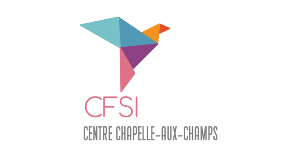 Logo CFSI